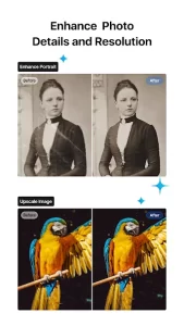 تحميل تطبيق VN